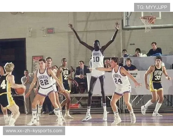 NBA裁判协会首次引入女性主席，开创历史先河，nba裁判介绍